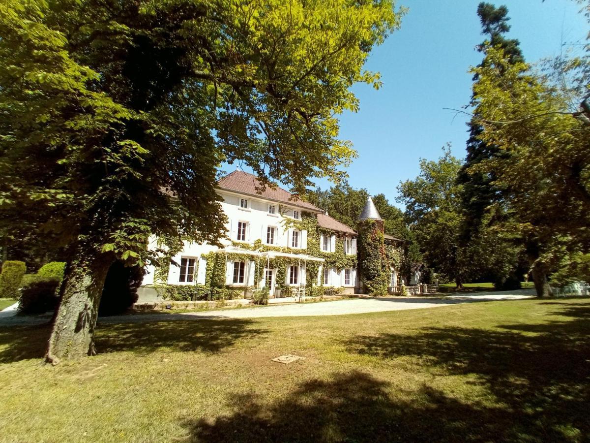 Chateau Des Ayes - Chambres & Suites Saint-Étienne-de-Saint-Geoirs Εξωτερικό φωτογραφία
